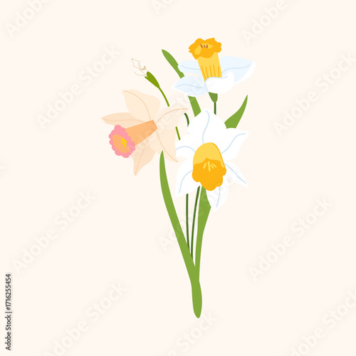 Narcissus bouquet isolated on white background. Cute botany illustration