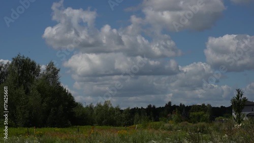 Rural countryside landscape with wild meadow flowers and green forest under dramatic cloudy sky during summer day. Concept of natural wilderness, peaceful countryside and undeveloped land beauty. 