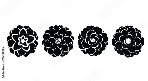 Four stylized black succulent plants in a row decorative botanical art vector