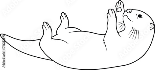Playful otter lying on its back with paws up on plain background