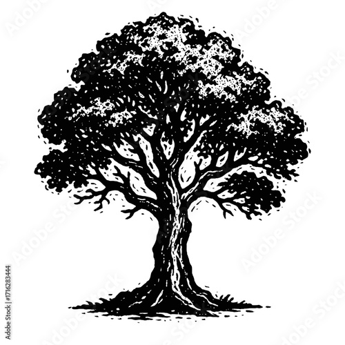 Black and white woodcut illustration of a mature tree with a dense canopy and strong, symbolizing nature's resilience, growth, and beauty for environmental and sustainable themes.