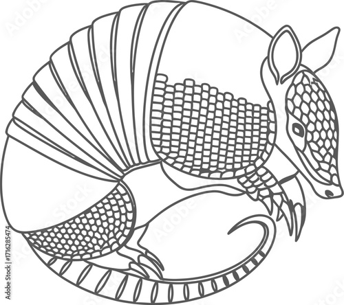 Rmadillo Curled Up, Black and White Line Art on Plain Background