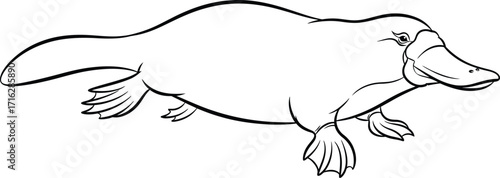Line Drawing of a Platypus, Aquatic Mammal on White Background
