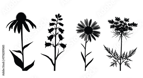 Silhouettes of four distinct wildflowers capturing nature's delicate beauty in a simple style vector