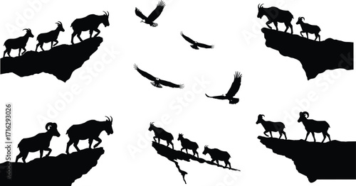 Mountain goats and eagles silhouette vector illustration showing wildlife on cliffs, flying birds, rocky terrain, and alpine animals in natural scenery