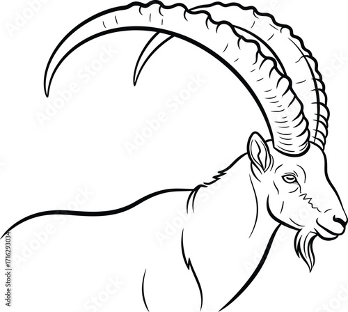Black outline of an Ibex with large horns on a white background