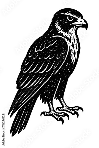 Commanding Woodcut Style Black and White Falcon Illustration, a Majestic Raptor with Intense Gaze, Sharp Beak, and Textured Feathers, Ideal for Vintage Animal Art, Graphic Design, Nature-Inspired Proj