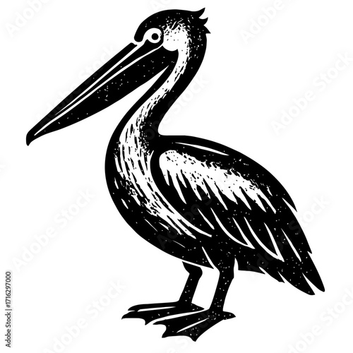Striking black and white illustration of a majestic pelican, captured in a unique woodcut style, showcasing its distinctive long beak and graceful silhouette, perfect for wildlife art, nature-themed d
