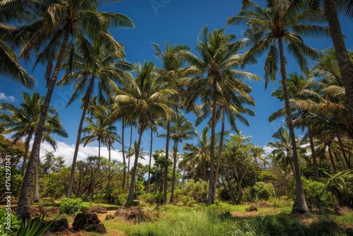 Wallpaper Mural Lush Coconut Grove: A Tropical Paradise at the Historic Plantation in Kapaa, Kauai, Hawaii Torontodigital.ca