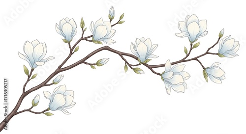 Wallpaper Mural Delicate branch with blooming white magnolia flowers and buds Torontodigital.ca