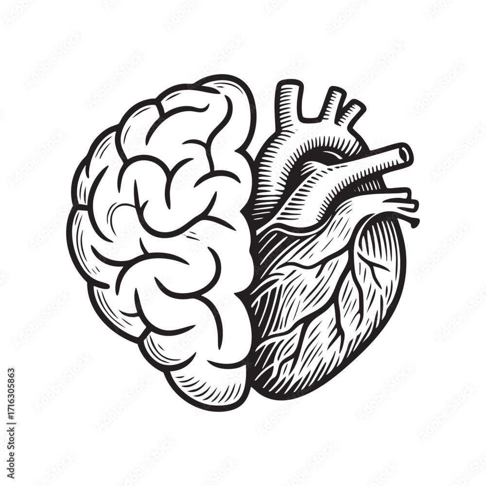 Fototapeta premium Hand drawn of Half brain and half heart draft silhouette drawing, black on white line art.