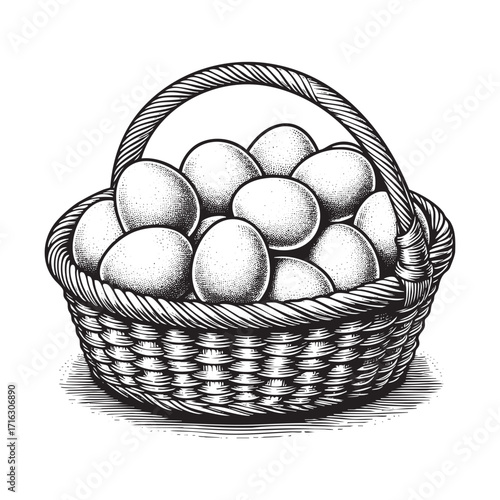 Detailed Engraving Style Illustration of egg on wooden basket in ink sketch