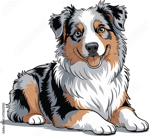Cute cartoon a illustrator vector Australian Shepherd