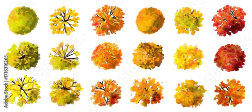 Tree or forest top view for landscape layout,watercolor plant for architecture drawing, environment and garden,botanical elements for plan,blooming tree in autumn