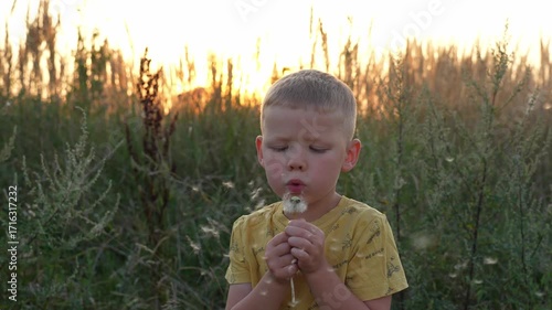 Young boy blowing dandelion seeds in golden sunset field with flying white seeds dispersing in warm evening light. Concept of childhood wonder, nature connection and summer meadow exploration. 