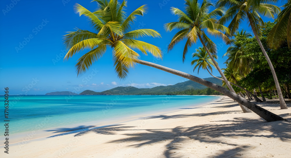 Fototapeta premium Wide tropical beach with leaning palms, white sand and crystal clear blue water under bright sky, scenic island coastline