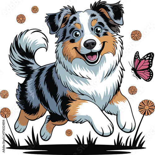 Cute cartoon a illustrator vector Australian Shepherd
