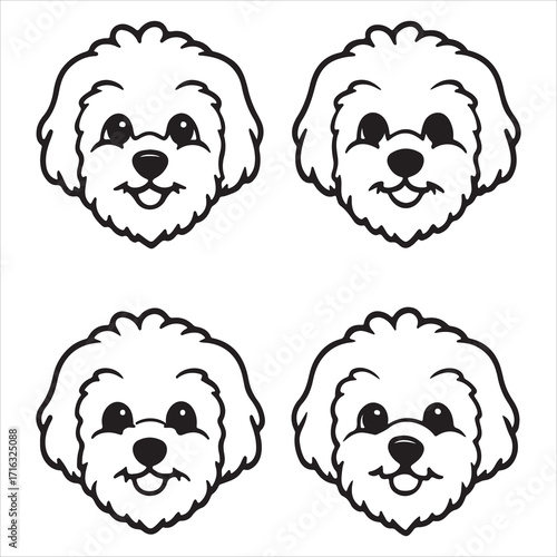 A Cheerful and Spirited Bichon Frise, a Hypoallergenic Companion with a Fluffy Powderpuff Coat, a Playful Cotton Ball with a Charming and Frisky Personality