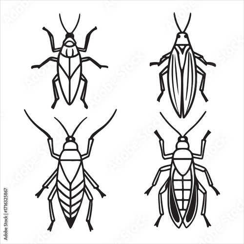 A Master of Camouflage, the Nocturnal Katydid, a Leaf-Mimicking Bush Cricket from the Tettigoniidae Family with a Distinctive High Pitched Song