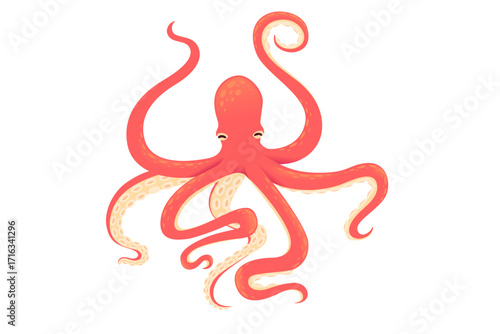 Top view octopus with tentacles spread in all directions. Red marine cephalopod viewed from above. Eight arms radiating outward with suction cups visible. Vector illustration isolated