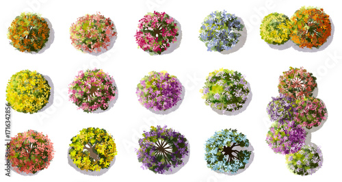 Vector watercolor of blooming tree top view isolated on white background for landscape plan and architecture drawing, elements for environment and garden,botanical elements ,blooming flower in spring