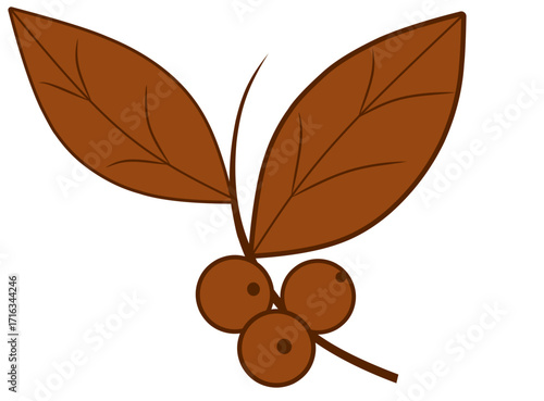 small branch with leaves and coffee berries