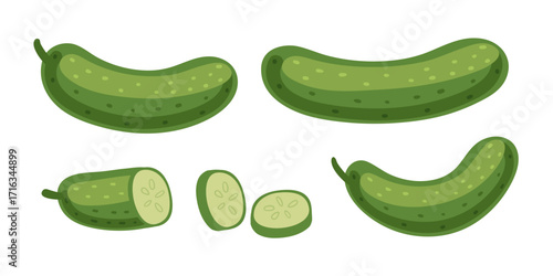 Green cucumber collection with white flesh and seeds. Fresh pickled vegetable whole and sliced. Healthy organic produce for salads and cooking. Vector illustration isolated on white background