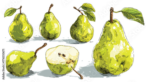Vibrant Fresh Green Pear Fruit Photography from Multiple Perspectives
