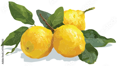 Fresh Lemons on White Background Vector Illustration for Graphic Design Projects
