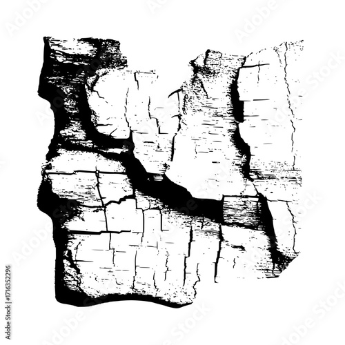 Black and white image of a rough textured bark fragment with cracks and jagged edges on a white background
