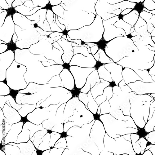 Monochrome illustration of multiple nerve cells connected in a complex network structure pattern