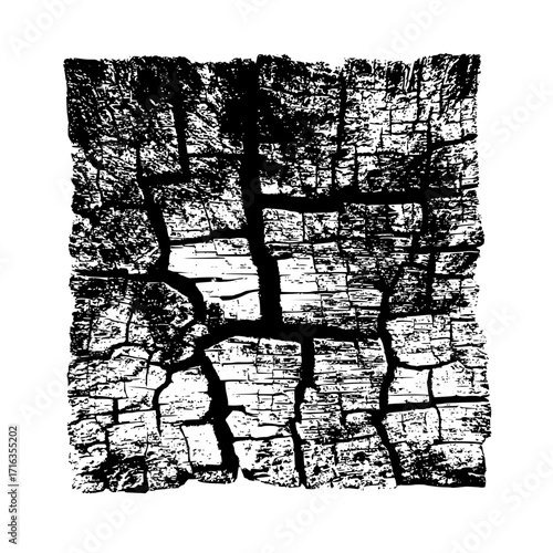 A detailed black and white grunge texture of cracked wood with a rough and distressed appearance visible here