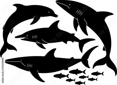 "Shark, Dolphin, and Fish Silhouette Collection"

"Ocean Life Vector Set – Marine Animal Silhouettes"

"Underwater Creatures: Shark, Dolphin & Fish Designs"