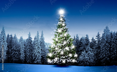 Beleuchteter geschmückter Weihnachtsbaum in einem verschneiten Winterwald