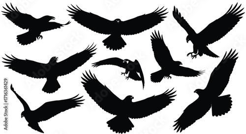 set of silhouettes of birds