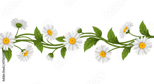 Seamless daisy vine border with white petals and green leaves, hand-painted botanical border for stationery