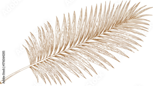 Exotic Tropical Leaves and Phoenix Vector Illustration for Designs