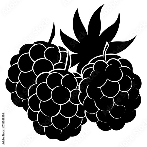 Black and white graphic of two raspberries and leaves