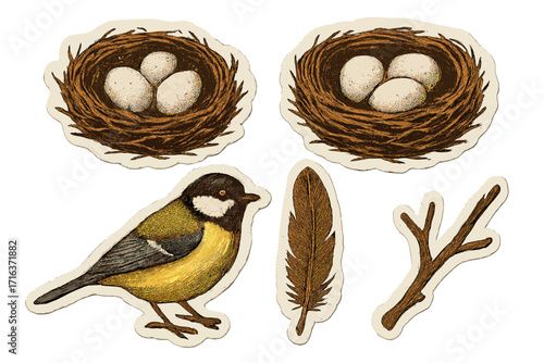 Retro titmouse bird sticker set with nests, eggs, feather, branch. Vintage collage elements with torn paper and halftone effect. Vector nature illustration for scrapbooking.