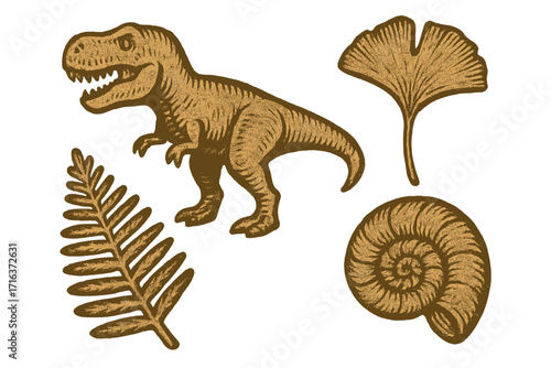 Tyrannosaurus rex dinosaur with ginkgo and fern leaves and ammonite fossil imprints. Prehistoric life collection, paleontology, archeology, extinct species art, vector cartoon design