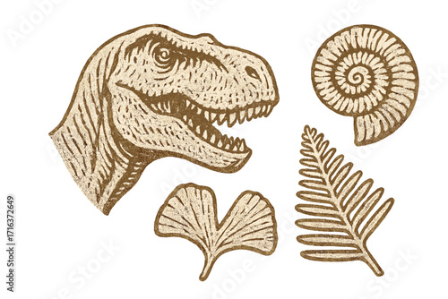 Tyrannosaurus rex dinosaur head with ginkgo leaf, fern leaf, and ammonite fossil. Prehistoric life vector collection, paleontology, archeology illustration, imprint style cartoon