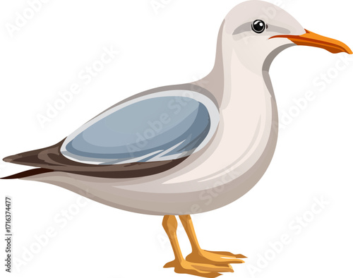 duck isolated on white background