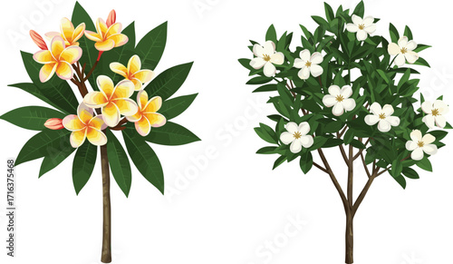 plant, tree, flower, foliage, nature, botanical, garden, bloom, blossom, leaf, tropical, exotic, green, outdoor, landscape, vegetation, floral, natural, decorative, , tree, flower,