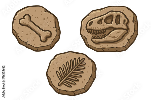 Dinosaur fossils cartoon set. Archeology paleontology icons. Prehistoric excavation concept. Dino skull, ancient bone, plant leaf fossil in stone. Jurassic period artifacts vector.