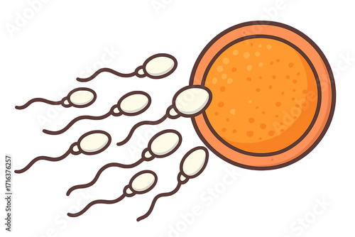 Sperm and egg cell vector. Fertilization, insemination and conception icon. Human reproductive system. Pregnancy, gynecology concept. Spermatozoa swim to ovum. Medical biology art.