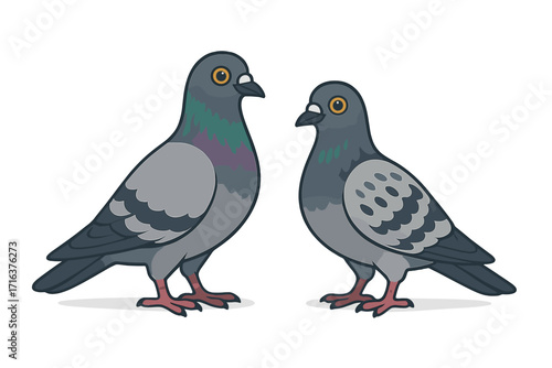 Two cute cartoon pigeons standing together. A pair of city birds, rock doves, shown as a vector illustration. Isolated animal wildlife characters with unique grey plumage.