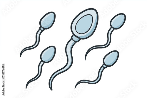 Sperm cells scientific illustration vector, human reproductive biology, male anatomy, fertility concept, spermatozoa cartoon style, medical education graphic, transparent background