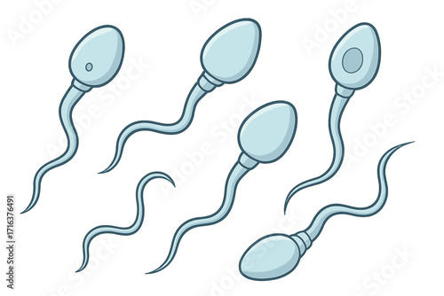 Sperm cells scientific illustration, reproductive biology concept, human fertility, anatomy study, vector cartoon illustration for medical education and health research