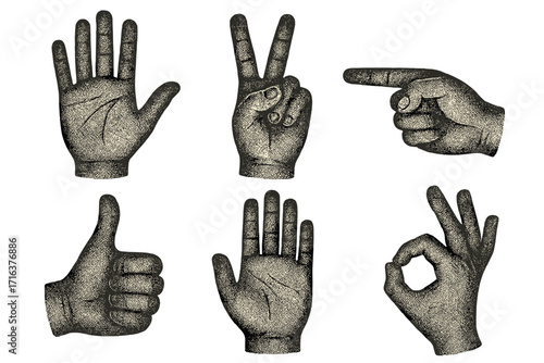 Vintage hand gestures set with halftone effect. Grungy retro vector collection of symbols like peace, ok, stop, point, and thumbs up. Old engraving style illustration.