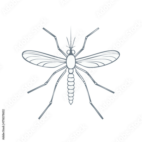 Illustration of a mosquito insect in gray, a vector graphic of a mosquito insect.